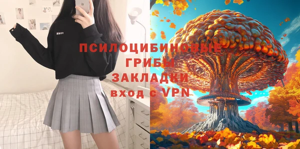 шишки Бикин