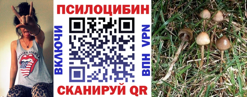 Галлюциногенные грибы мицелий наркотики Киренск